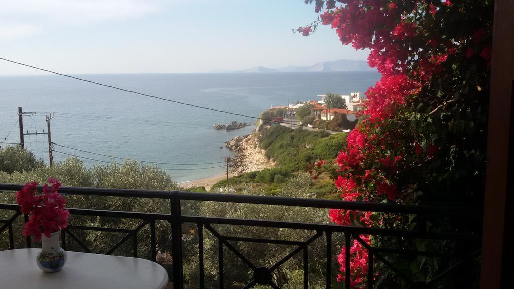 Thalina Hotel 마라토캄포스 객실 사진
